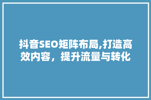 抖音SEO矩阵布局,打造高效内容，提升流量与转化 网站建设公司