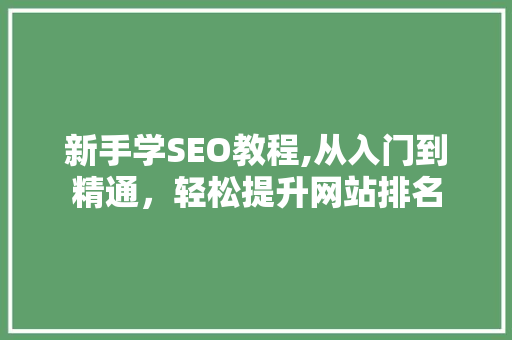 新手学SEO教程,从入门到精通，轻松提升网站排名 SEO关键词
