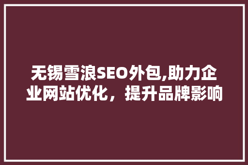 无锡雪浪SEO外包,助力企业网站优化，提升品牌影响力
