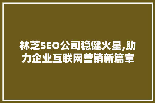 林芝SEO公司稳健火星,助力企业互联网营销新篇章