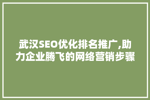 武汉SEO优化排名推广,助力企业腾飞的网络营销步骤 百度SEO