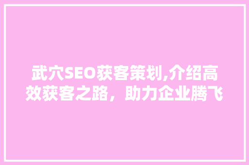 武穴SEO获客策划,介绍高效获客之路，助力企业腾飞 神马SEO