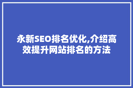 永新SEO排名优化,介绍高效提升网站排名的方法 SEO关键词