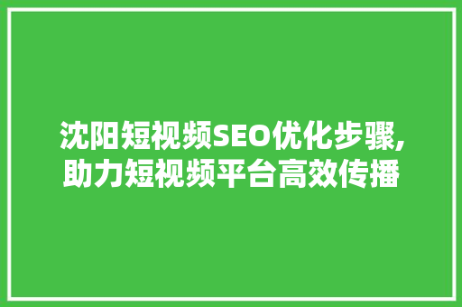 沈阳短视频SEO优化步骤,助力短视频平台高效传播 网站建设公司