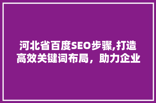 河北省百度SEO步骤,打造高效关键词布局，助力企业腾飞 神马SEO