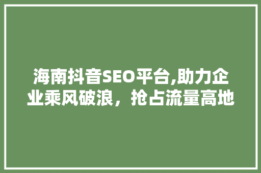 海南抖音SEO平台,助力企业乘风破浪，抢占流量高地 搜狗SEO