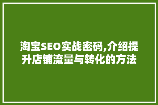 淘宝SEO实战密码,介绍提升店铺流量与转化的方法