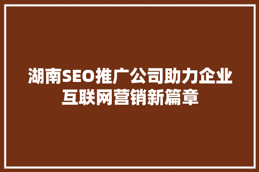 湖南SEO推广公司助力企业互联网营销新篇章