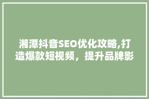 湘潭抖音SEO优化攻略,打造爆款短视频，提升品牌影响力 网站建设公司