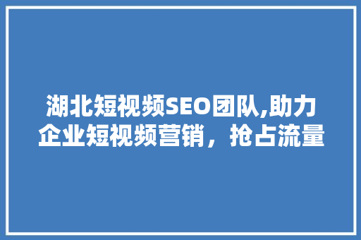 湖北短视频SEO团队,助力企业短视频营销，抢占流量高地