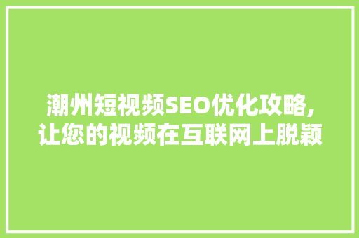 潮州短视频SEO优化攻略,让您的视频在互联网上脱颖而出