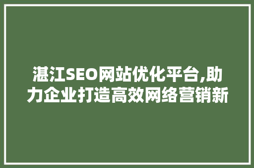 湛江SEO网站优化平台,助力企业打造高效网络营销新格局
