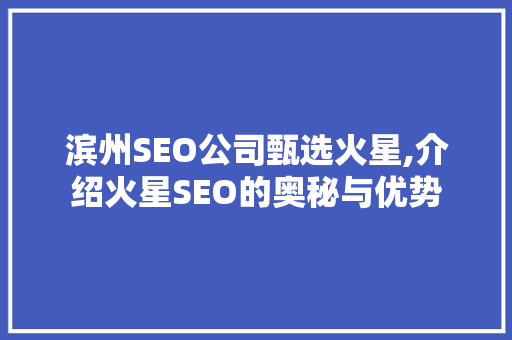 滨州SEO公司甄选火星,介绍火星SEO的奥秘与优势
