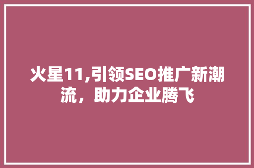 火星11,引领SEO推广新潮流，助力企业腾飞 网站建设公司