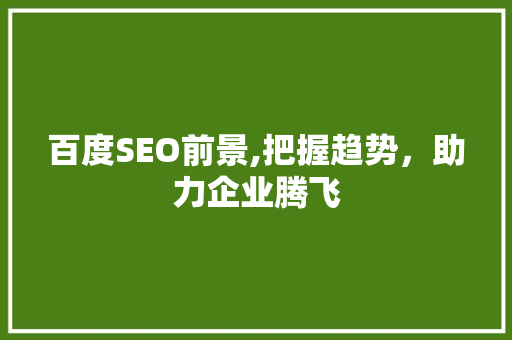 百度SEO前景,把握趋势，助力企业腾飞