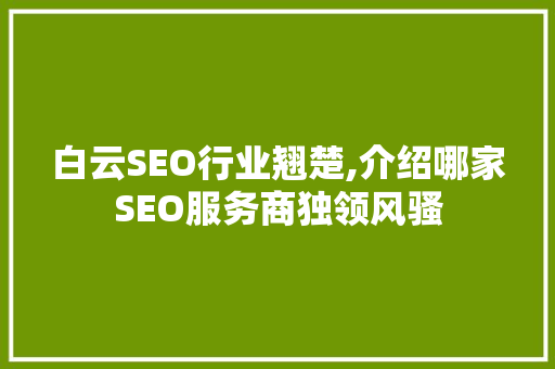 白云SEO行业翘楚,介绍哪家SEO服务商独领风骚