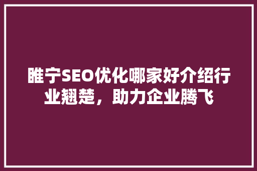 睢宁SEO优化哪家好介绍行业翘楚，助力企业腾飞 百度SEO
