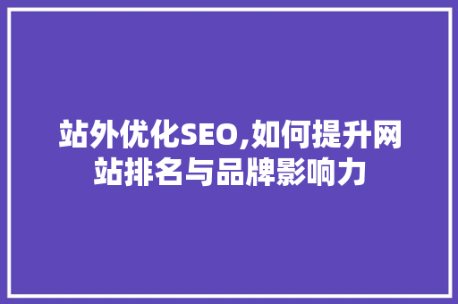 站外优化SEO,如何提升网站排名与品牌影响力 网站建设公司