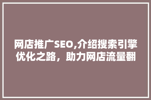 网店推广SEO,介绍搜索引擎优化之路，助力网店流量翻倍！