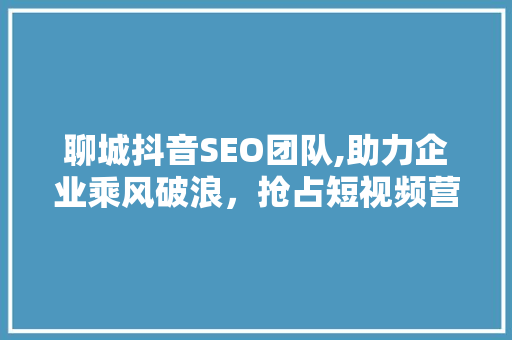 聊城抖音SEO团队,助力企业乘风破浪，抢占短视频营销制高点