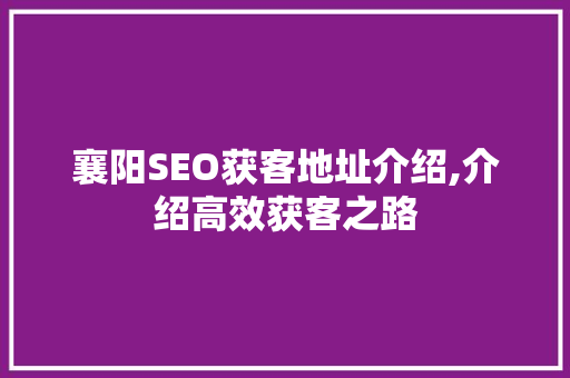 襄阳SEO获客地址介绍,介绍高效获客之路