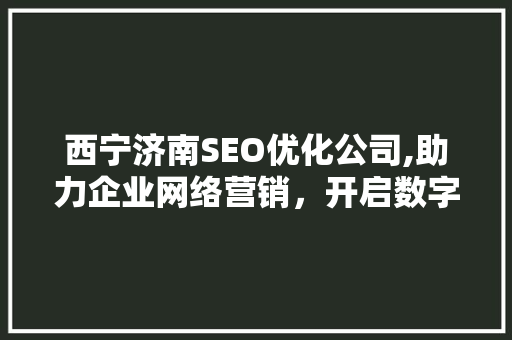 西宁济南SEO优化公司,助力企业网络营销，开启数字化时代新篇章