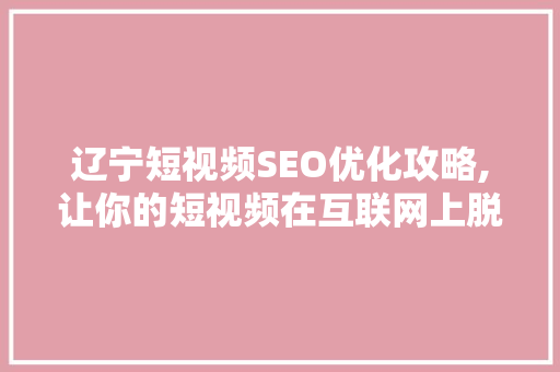 辽宁短视频SEO优化攻略,让你的短视频在互联网上脱颖而出 神马SEO