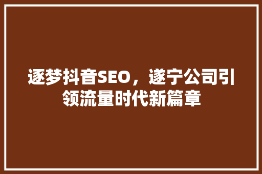 逐梦抖音SEO，遂宁公司引领流量时代新篇章 神马SEO