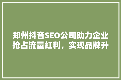 郑州抖音SEO公司助力企业抢占流量红利，实现品牌升级