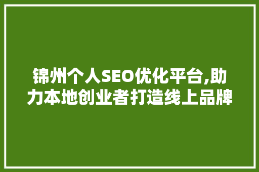 锦州个人SEO优化平台,助力本地创业者打造线上品牌新高度 神马SEO