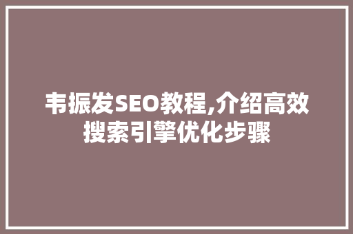 韦振发SEO教程,介绍高效搜索引擎优化步骤