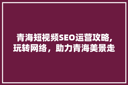 青海短视频SEO运营攻略,玩转网络，助力青海美景走向世界