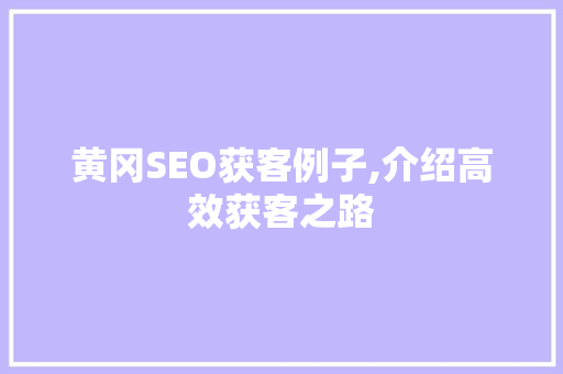 黄冈SEO获客例子,介绍高效获客之路 神马SEO