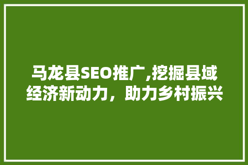 马龙县SEO推广,挖掘县域经济新动力，助力乡村振兴 网站建设公司