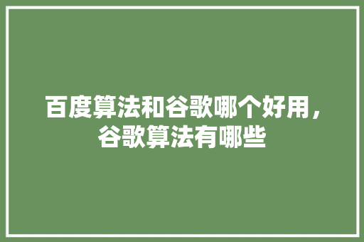 百度算法和谷歌哪个好用，谷歌算法有哪些