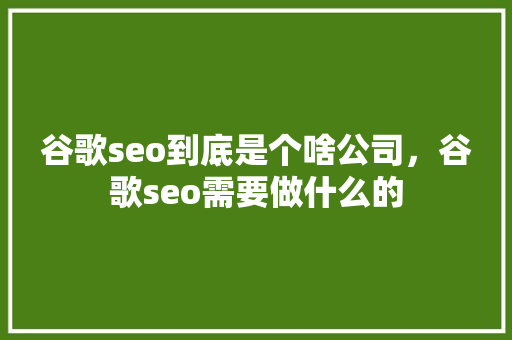 谷歌seo到底是个啥公司，谷歌seo需要做什么的