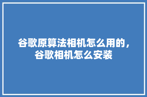 谷歌原算法相机怎么用的，谷歌相机怎么安装 SEO关键词