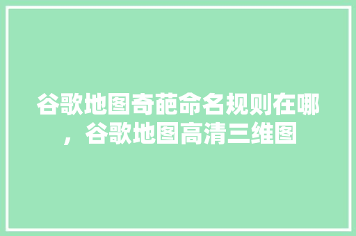 谷歌地图奇葩命名规则在哪，谷歌地图高清三维图