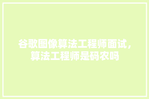 谷歌图像算法工程师面试，算法工程师是码农吗 SEO关键词