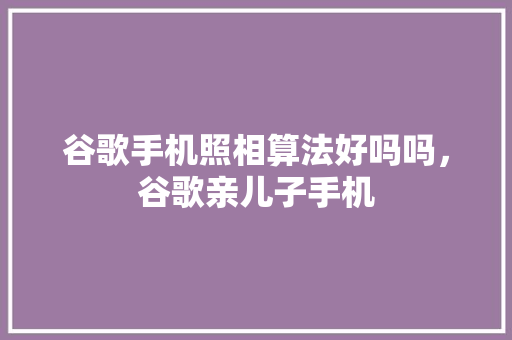 谷歌手机照相算法好吗吗，谷歌亲儿子手机 搜狗SEO