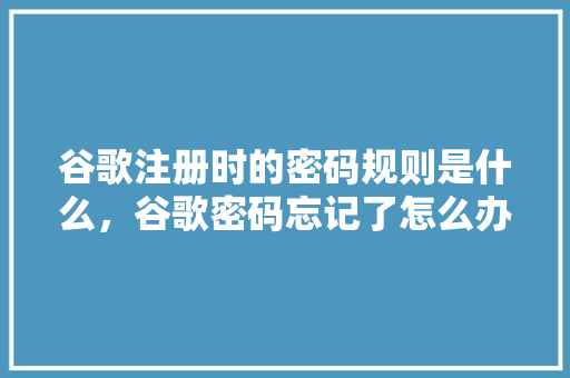 谷歌注册时的密码规则是什么，谷歌密码忘记了怎么办