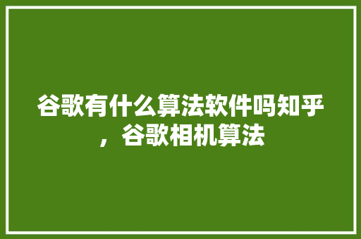 谷歌有什么算法软件吗知乎，谷歌相机算法