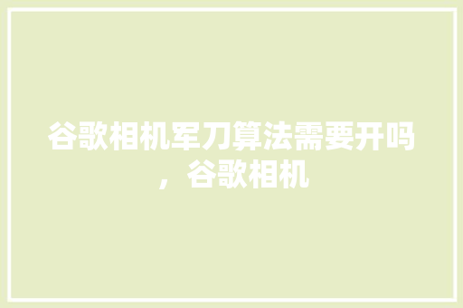 谷歌相机军刀算法需要开吗，谷歌相机