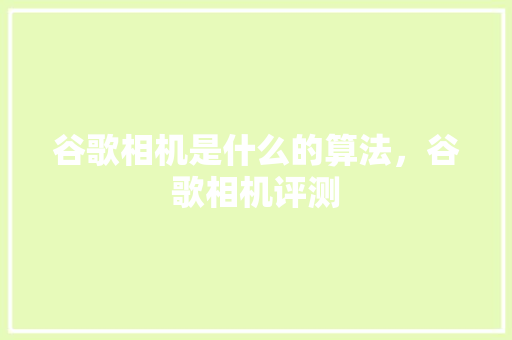 谷歌相机是什么的算法，谷歌相机评测 搜狗SEO