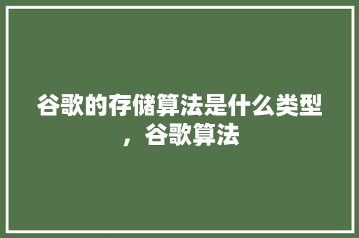 谷歌的存储算法是什么类型，谷歌算法 必应SEO