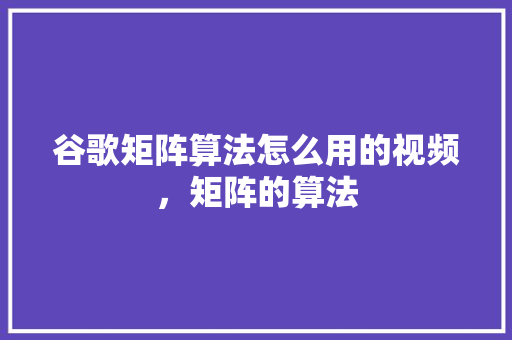 谷歌矩阵算法怎么用的视频，矩阵的算法