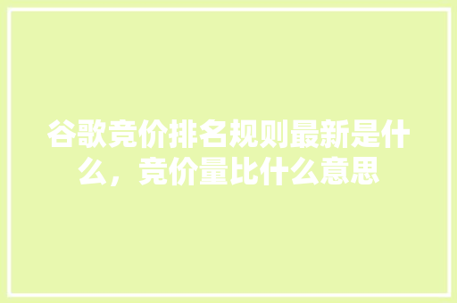 谷歌竞价排名规则最新是什么，竞价量比什么意思