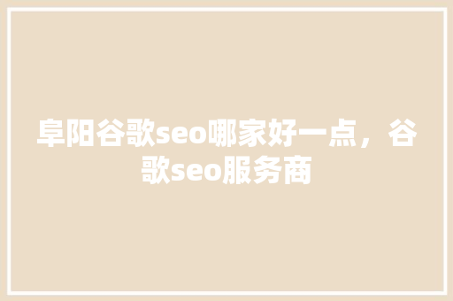 阜阳谷歌seo哪家好一点，谷歌seo服务商