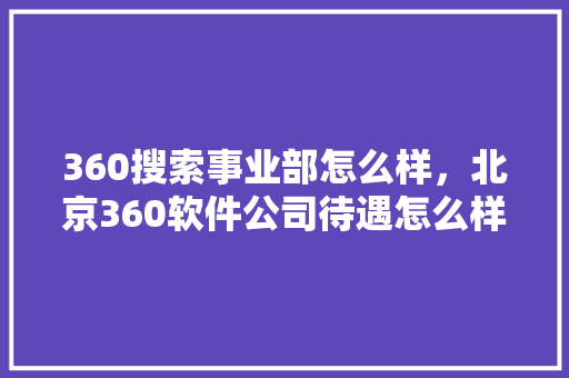 360搜索事业部怎么样，北京360软件公司待遇怎么样 必应SEO
