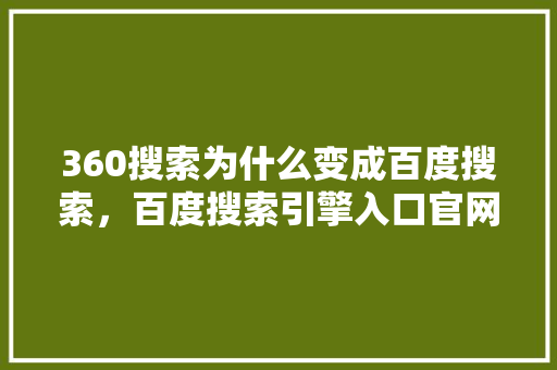 360搜索为什么变成百度搜索，百度搜索引擎入口官网